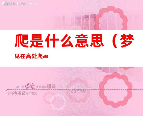 爬是什么意思(梦见往高处爬是什么意思)