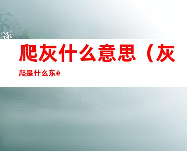 爬灰什么意思(灰爬是什么东西)