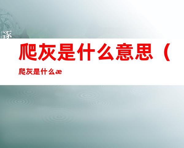 爬灰是什么意思(爬灰是什么意思呢)