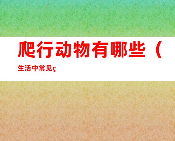 爬行动物有哪些（生活中常见的爬行动物有哪些）