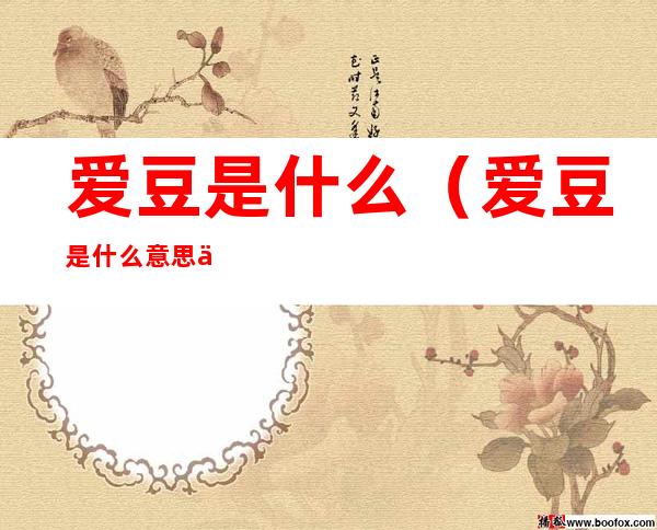 爱豆是什么(爱豆是什么意思中文翻译)