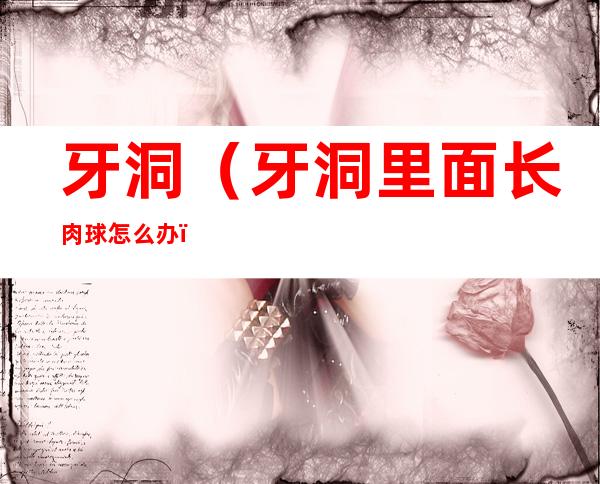牙洞(牙洞里面长肉球怎么办)