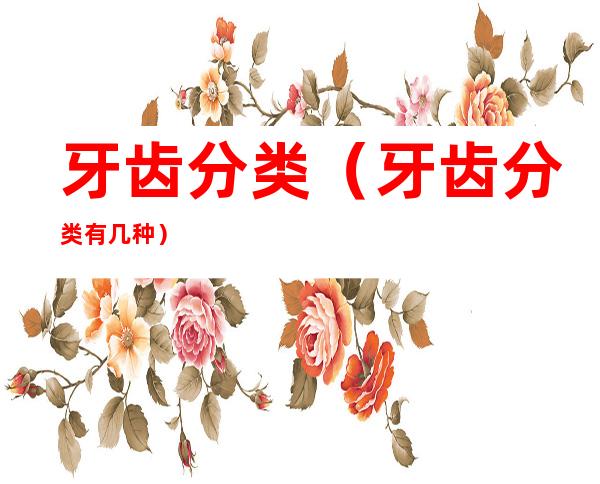牙齿分类(牙齿分类有几种)