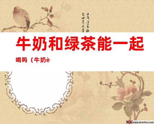 牛奶和绿茶能一起喝吗(牛奶能跟绿茶一起喝吗)
