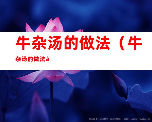 牛杂汤的做法(牛杂汤的做法和配料视频教程)