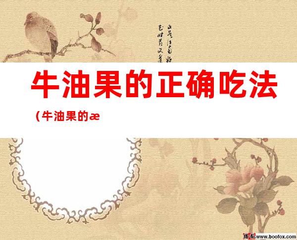 牛油果的正确吃法(牛油果的正确吃法,一起来看看吧,看你以前吃错了吗)