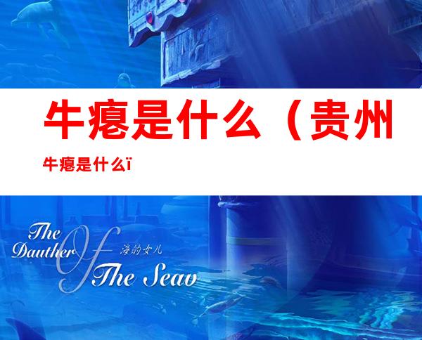 牛瘪是什么(贵州牛瘪是什么)