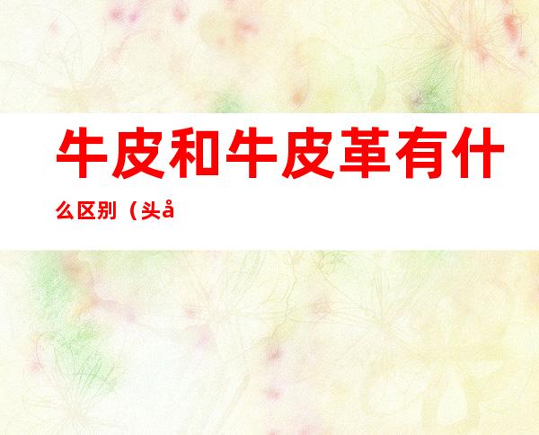 牛皮和牛皮革有什么区别（头层牛皮和牛皮革有什么区别）