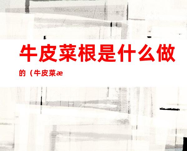 牛皮菜根是什么做的(牛皮菜根是用什么做的)