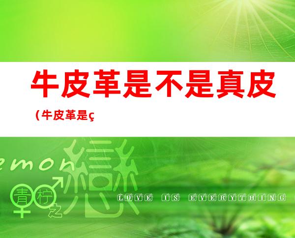 牛皮革是不是真皮(牛皮革是皮子吗是真皮吗)