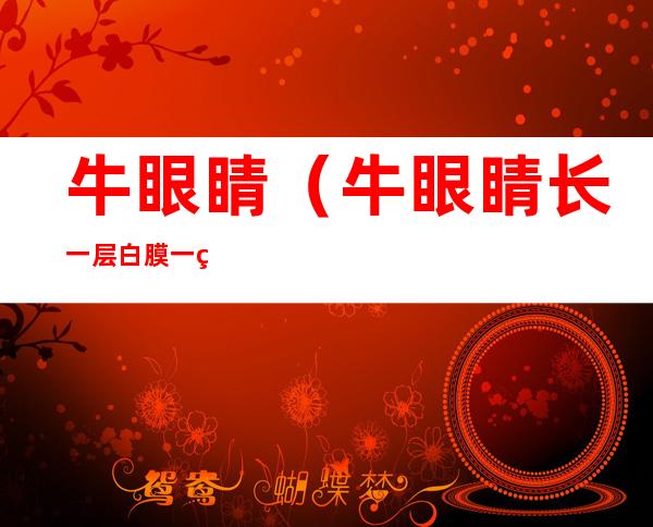 牛眼睛（牛眼睛长一层白膜一直流眼泪）