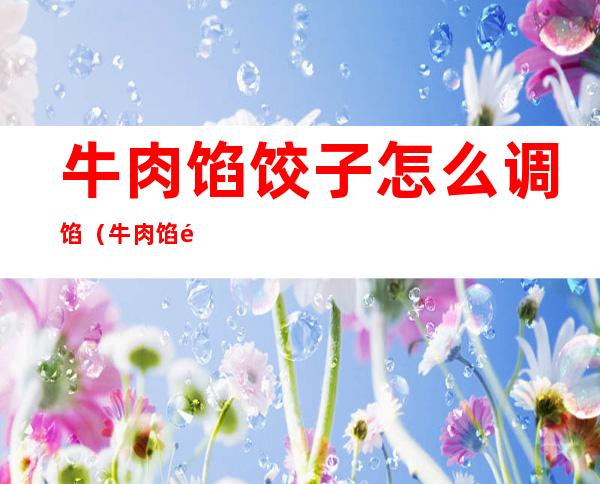 牛肉馅饺子怎么调馅(牛肉馅饺子怎么调馅配什么菜)