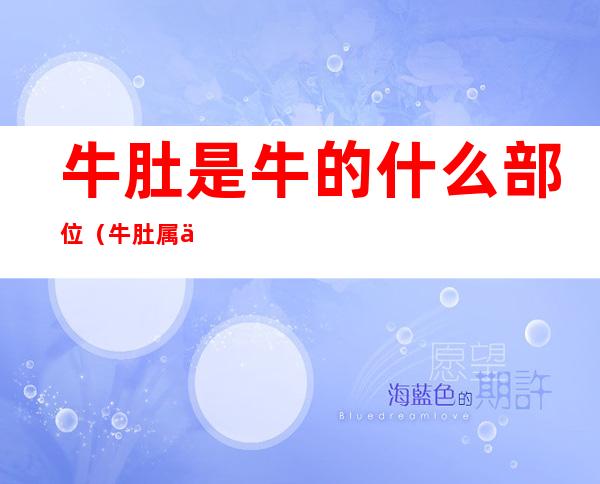 牛肚是牛的什么部位（牛肚属于牛的什么部位）