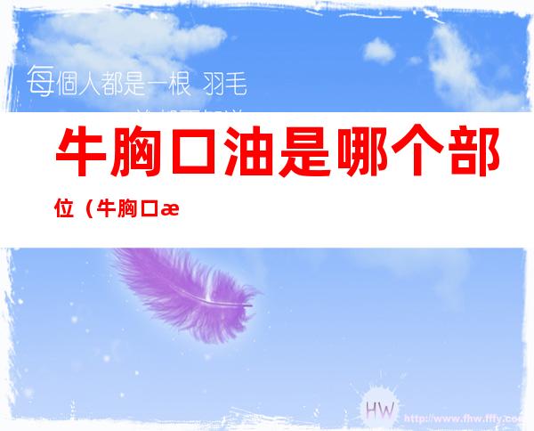 牛胸口油是哪个部位（牛胸口油是什么）