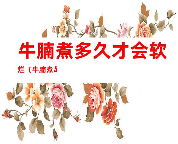 牛腩煮多久才会软烂?（牛腩煮多久才会软烂啊）