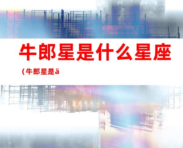 牛郎星是什么星座(牛郎星是什么星座是什么座)