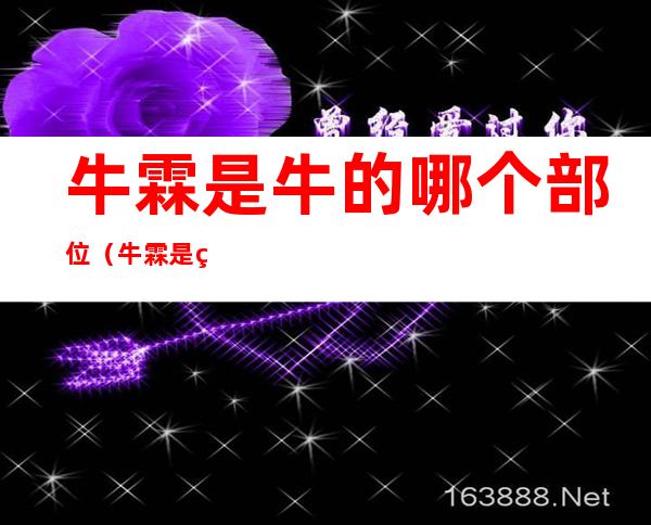 牛霖是牛的哪个部位(牛霖是牛的哪个部位潮州)
