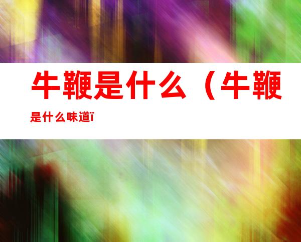 牛鞭是什么(牛鞭是什么味道)