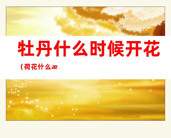 牡丹什么时候开花(荷花什么时候开花)