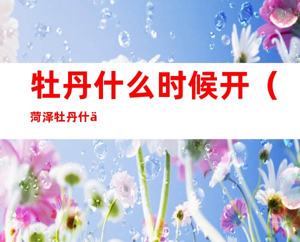 牡丹什么时候开(菏泽牡丹什么时候开)