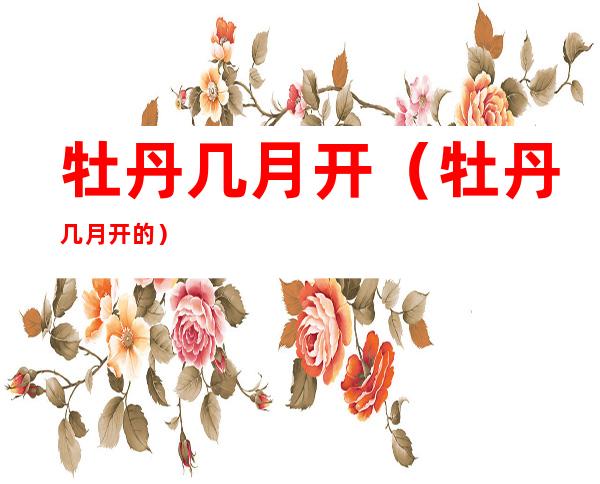 牡丹几月开（牡丹几月开的）