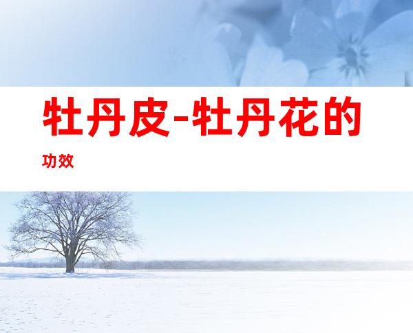 牡丹皮-牡丹花的功效