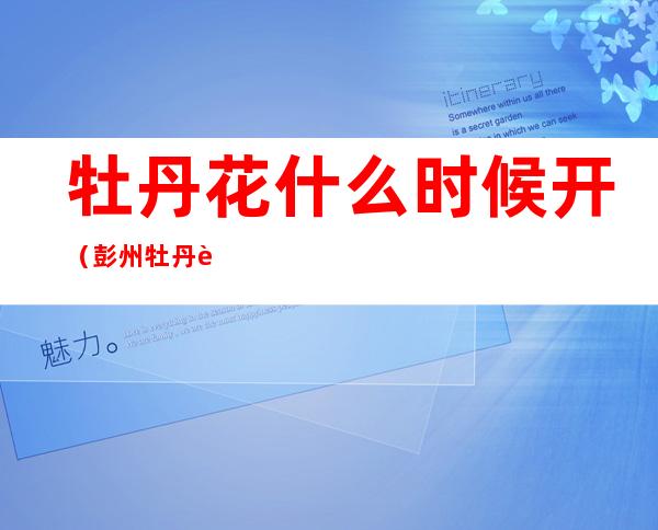 牡丹花什么时候开(彭州牡丹花什么时候开)