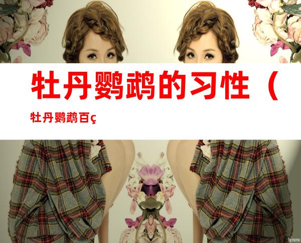 牡丹鹦鹉的习性（牡丹鹦鹉百科）