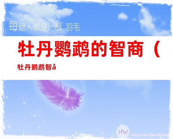 牡丹鹦鹉的智商（牡丹鹦鹉智商高吗）