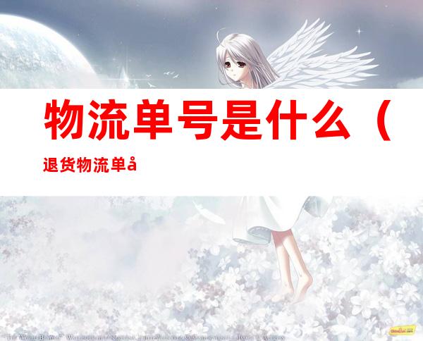 物流单号是什么(退货物流单号是什么)