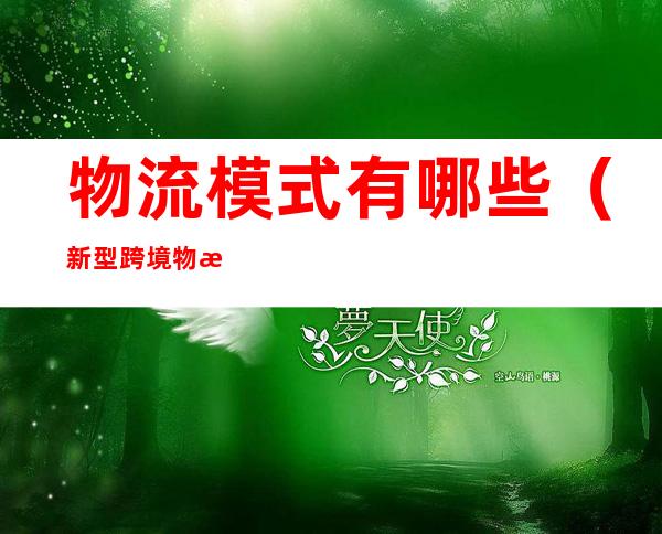 物流模式有哪些(新型跨境物流模式有哪些)