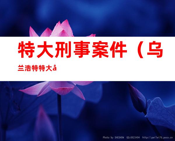 特大刑事案件(乌兰浩特特大刑事案件)