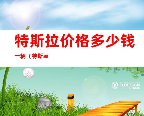 特斯拉价格多少钱一辆(特斯拉售价报价表)