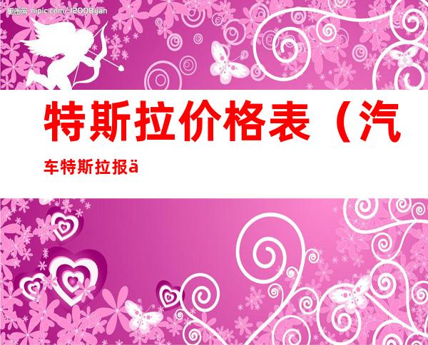 特斯拉价格表(汽车特斯拉报价及图片)