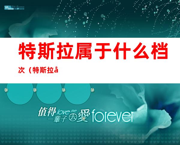 特斯拉属于什么档次(特斯拉属于什么档次人开的)