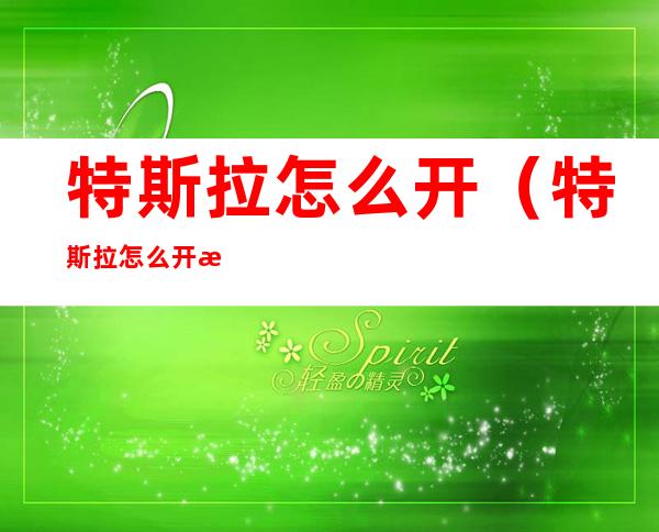 特斯拉怎么开(特斯拉怎么开暖风)
