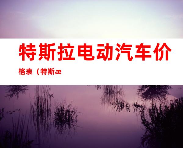 特斯拉电动汽车价格表(特斯拉电动汽车价格表图片)
