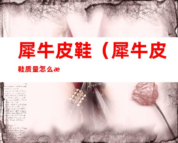 犀牛皮鞋(犀牛皮鞋质量怎么样)