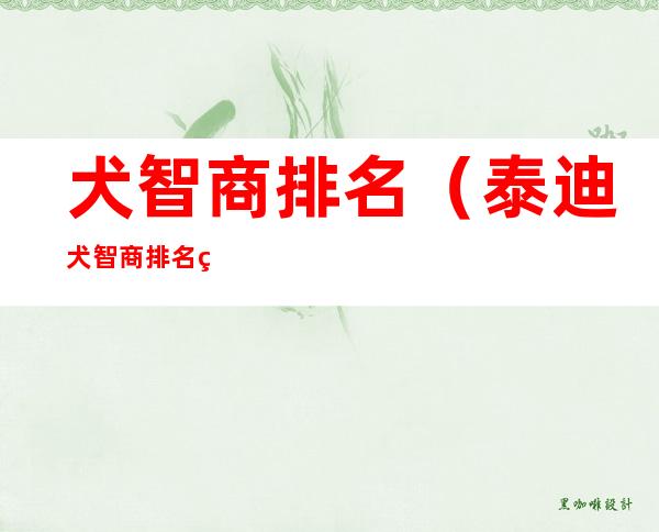 犬智商排名(泰迪犬智商排名第几)