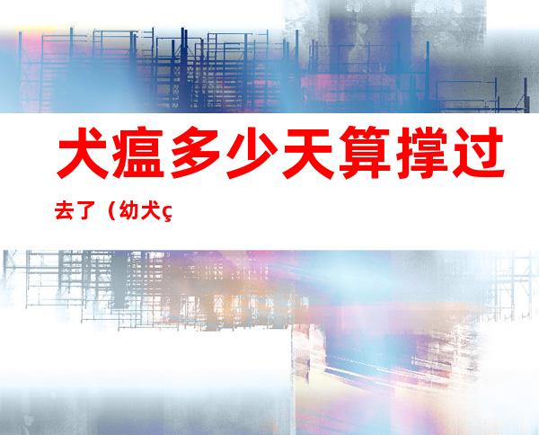 犬瘟多少天算撑过去了(幼犬犬瘟多少天算撑过去了)