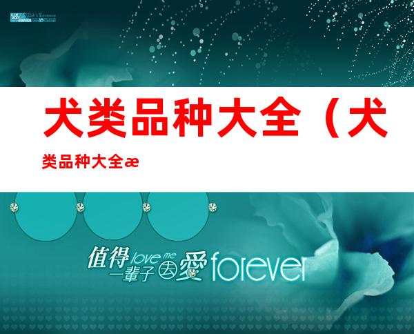 犬类品种大全(犬类品种大全 排名)