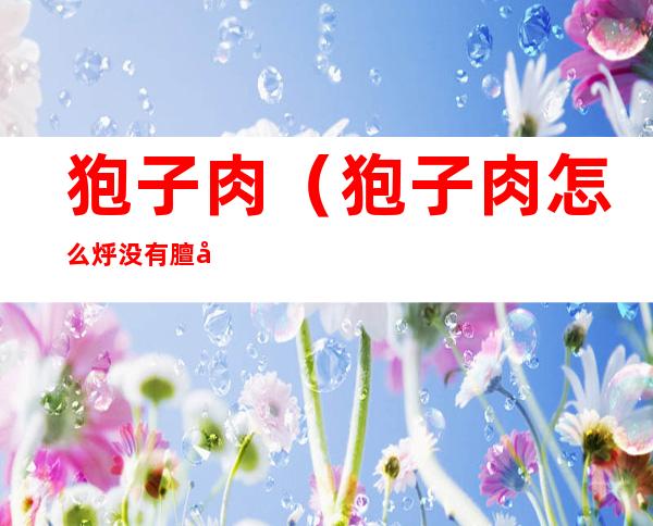 狍子肉（狍子肉怎么烀没有膻味）