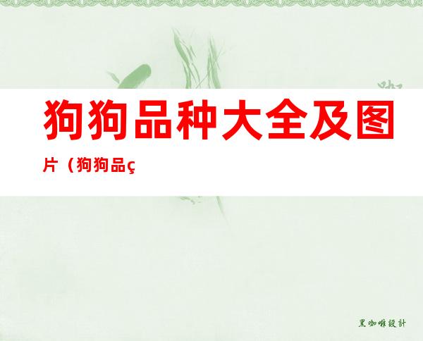 狗狗品种大全及图片(狗狗品种大全及图片和名字和价格)