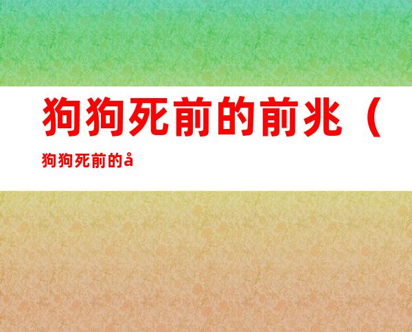 狗狗死前的前兆(狗狗死前的前兆视频)