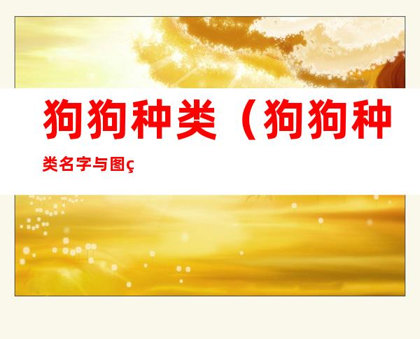 狗狗种类(狗狗种类名字与图片)