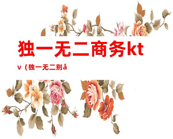 独一无二商务ktv(独一无二别具一格)