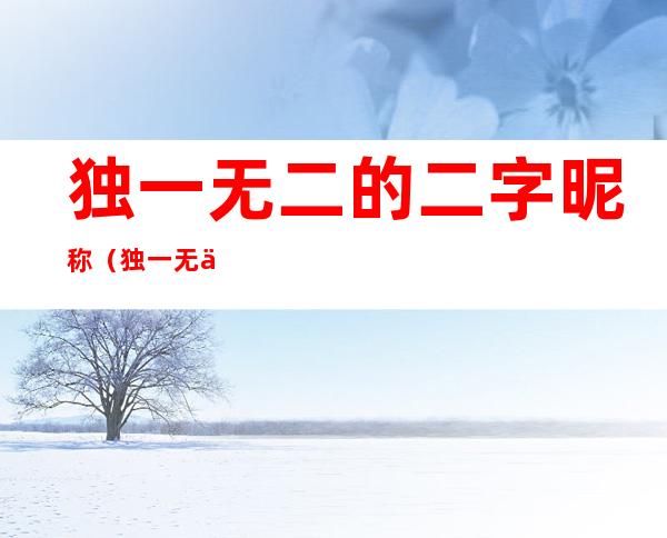 独一无二的二字昵称（独一无二的二字昵称四个字）