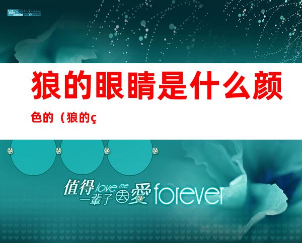 狼的眼睛是什么颜色的(狼的眼睛有几种)