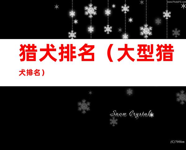 猎犬排名(大型猎犬排名)