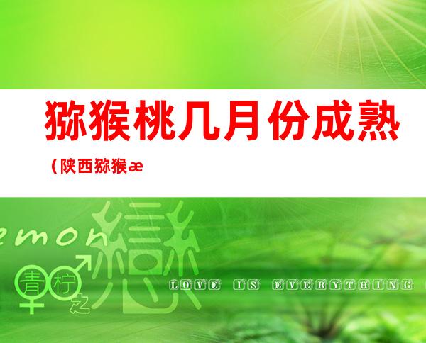 猕猴桃几月份成熟(陕西猕猴桃几月份成熟)
